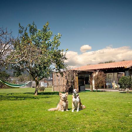 Casa Barros Villa Tui Kültér fotó